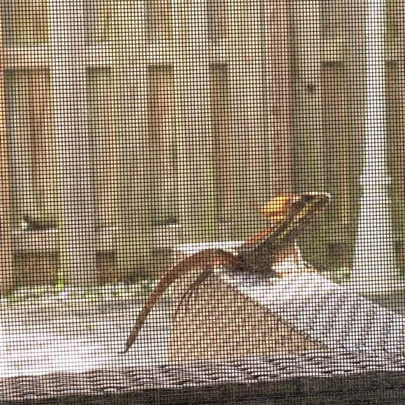 Profile Picture of Carlos Fernandez (@carlosfernan770) on Poshmark