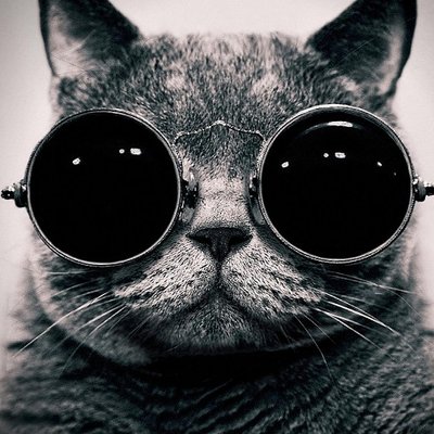 Profile Picture of Joshua Hemming (@hemming1_joshua) on Twitter