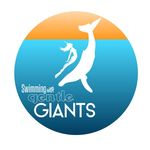 Profile Picture of Scott Portelli (@swimmingwithgentlegiants) on Instagram