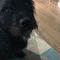Profile Picture of Sharron Garrett (@sharron.garrett.3) on Facebook