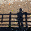 Profile Picture of Alex_Hsu111 (@Alex_Hsu111) on Flickr
