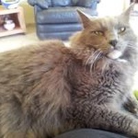 Profile Picture of Daniel Weber (@daniel-weber-22) on Quora