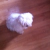 Profile Picture of Jake Bean (@@jakebean) on Tiktok