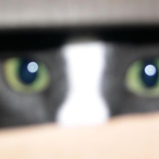 Profile Picture of Juana Barba (@juana.barba.3) on Facebook