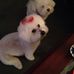 Profile Picture of Kitty Mullins (@kitty.mullins.37) on Facebook