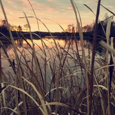 Profile Picture of John (@JohnBratcher3) on Twitter