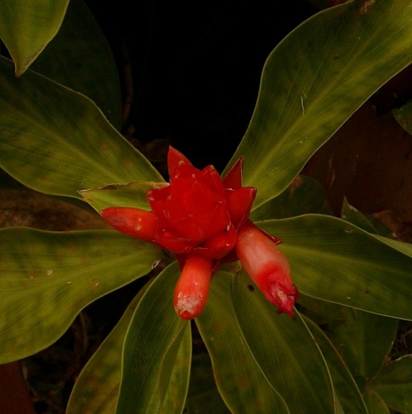 Eli Bedonie - Poshmark Profile Picture of Eli Bedonie (@eli1009) on Poshmark