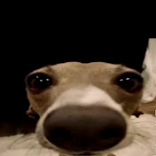 Profile Picture of Janet Peralta (@janetperalta7658) on Youtube