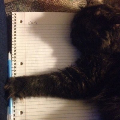 Profile Picture of Jereme James (@JeremeJames22) on Twitter