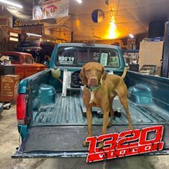 Profile Picture of Michael Luccio (@michaelluccio) on Tiktok