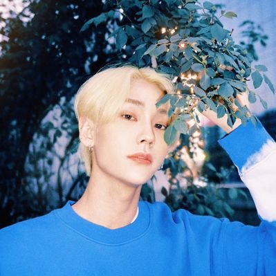 Profile Picture of (My Name Is) KAREEN!! 💙 (@kareen_fern18) on Twitter