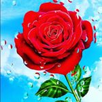 Profile Picture of dominick thompson (@dominick_1100) on Instagram