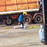 Profile Picture of Oscar And Fletcher (@backyardscientists) on Instagram