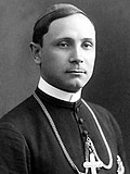 Profile Picture of Iuliu Hossuon Wikipedia