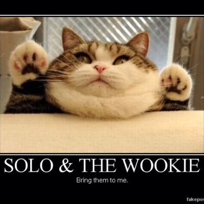 Profile Picture of Jim Sikkema (@Conceptjim) on Twitter