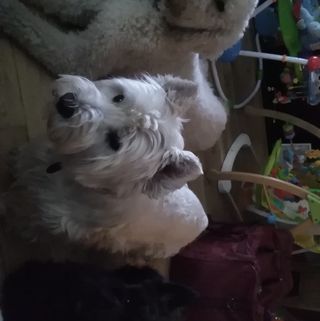 Profile Picture of Robert Jardine (@robert.jardine.980) on Facebook