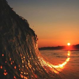 Profile Picture of Mark Schutz (@VForVen13129238) on Twitter