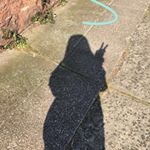 Profile Picture of Løis (@lois._.thompson) on Instagram