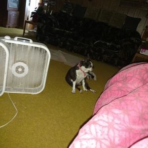 Profile Picture of Doris Nichols (@dorisni43326) on Twitter