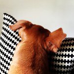 katehovde - Instagram Profile Picture of katehovde (@katehovde) on Instagram