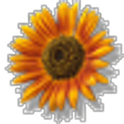 Profile Picture of Kim Mislick (@pathologyexpert) on Twitter