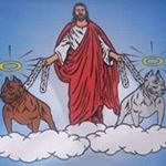 Profile Picture of Jeff Grieve (@grievejeff) on Instagram