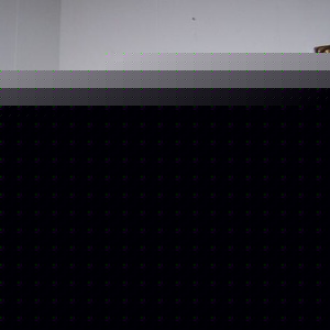 Profile Picture of Lisa Barnhouse (@blue_lotus_3) on Myspace