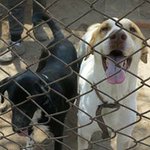 Profile Picture of Yesenia Cabrera (@yesenia.cath4) on Instagram