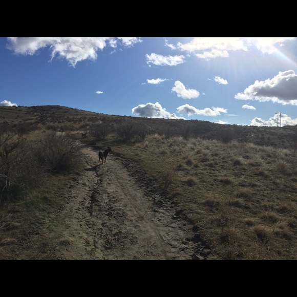 Profile Picture of J Armstrong (@jjaboise) on Poshmark