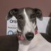 Profile Picture of Precious Gibbs (@precious.gibbs.7545) on Facebook