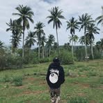 Profile Picture of James Perilla (@james.perilla.429018) on Facebook