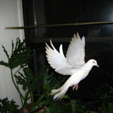 Profile Picture of madyourfav (@mariaescrivani) on Tiktok