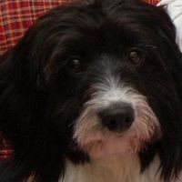 Profile Picture of Ann Cahill (@ann-cahill-15) on Quora