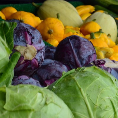 Profile Picture of Jasmine Mueller (@JSMVINES) on Twitter