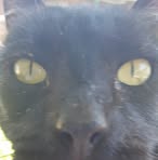 Profile Picture of Steven Hipps (@steven.hipps.7) on Facebook