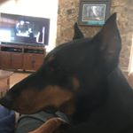 Profile Picture of Jason Nowakowski (@nowakowski.jason) on Instagram