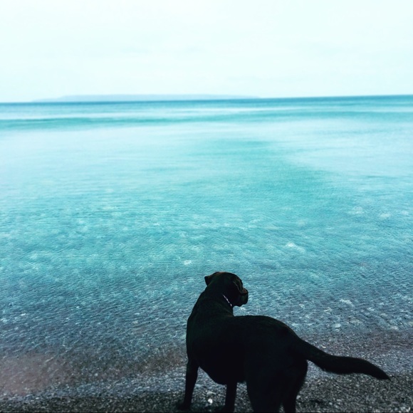 Profile Picture of Anna Iwanowski (@its_anna836) on Poshmark