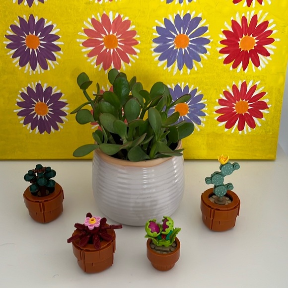 Profile Picture of Pui Tai (@taijoey) on Poshmark