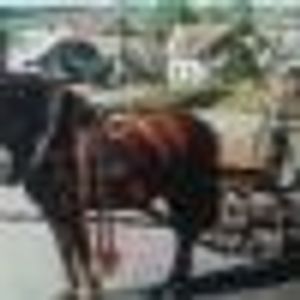 Profile Picture of Petr Janeček (@405936812) on Myspace