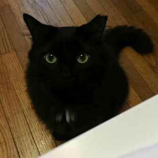 Profile Picture of Ke Deng (@helene.deng.3) on Facebook