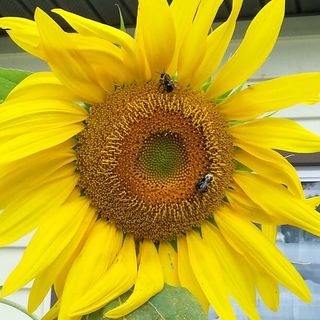Profile Picture of Mary Esther Blevins Cornett (@mary.cornett.5070) on Facebook