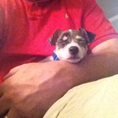 Profile Picture of Bobby Kramer (@bobby1kr) on Twitter