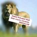 Profile Picture of Mohamud Diriye (@mohamud.diriye.90) on Facebook