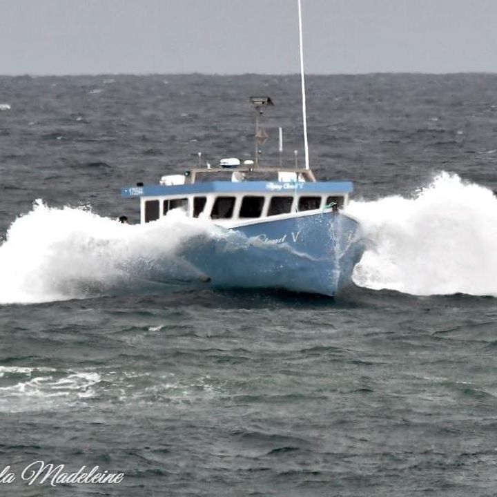 Todd Burke - Tiktok Profile Picture of Todd Burke (@toddburke4) on Tiktok