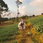 Profile Picture of Oddi (@Oddi) on Facebook