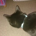 Profile Picture of dustin smith-marion (@dj_deth_derp) on Instagram