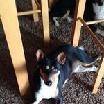 Mark Lebsack - Instagram Profile Picture of Mark Lebsack (@lebsackmark) on Instagram