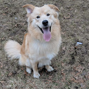 Profile Picture of James Barber (@jamesbarber3238) on Youtube