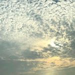 Profile Picture of Calvin Tsui (@calvin.tsui.50) on Instagram