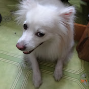 Profile Picture of Wei-ting Tseng (@wei-tingtseng5522) on Youtube